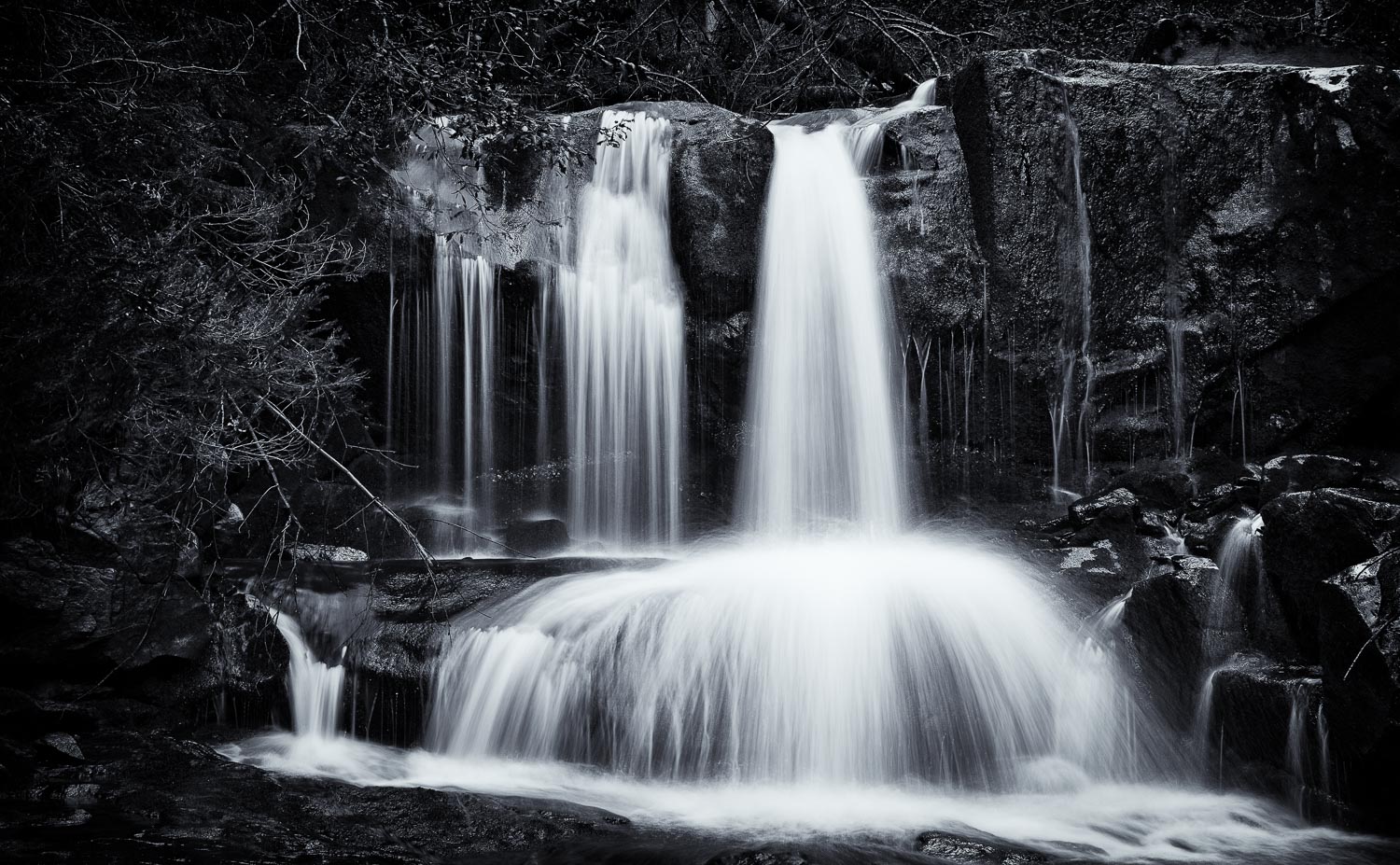 schwarz-weiß, wasserfall, wald