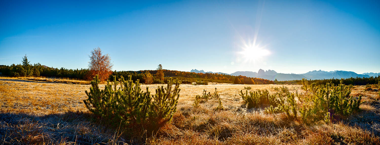 villanders, alm, sonnenaufgang, berge, herbst, fotografie, panorama, weide, latschen