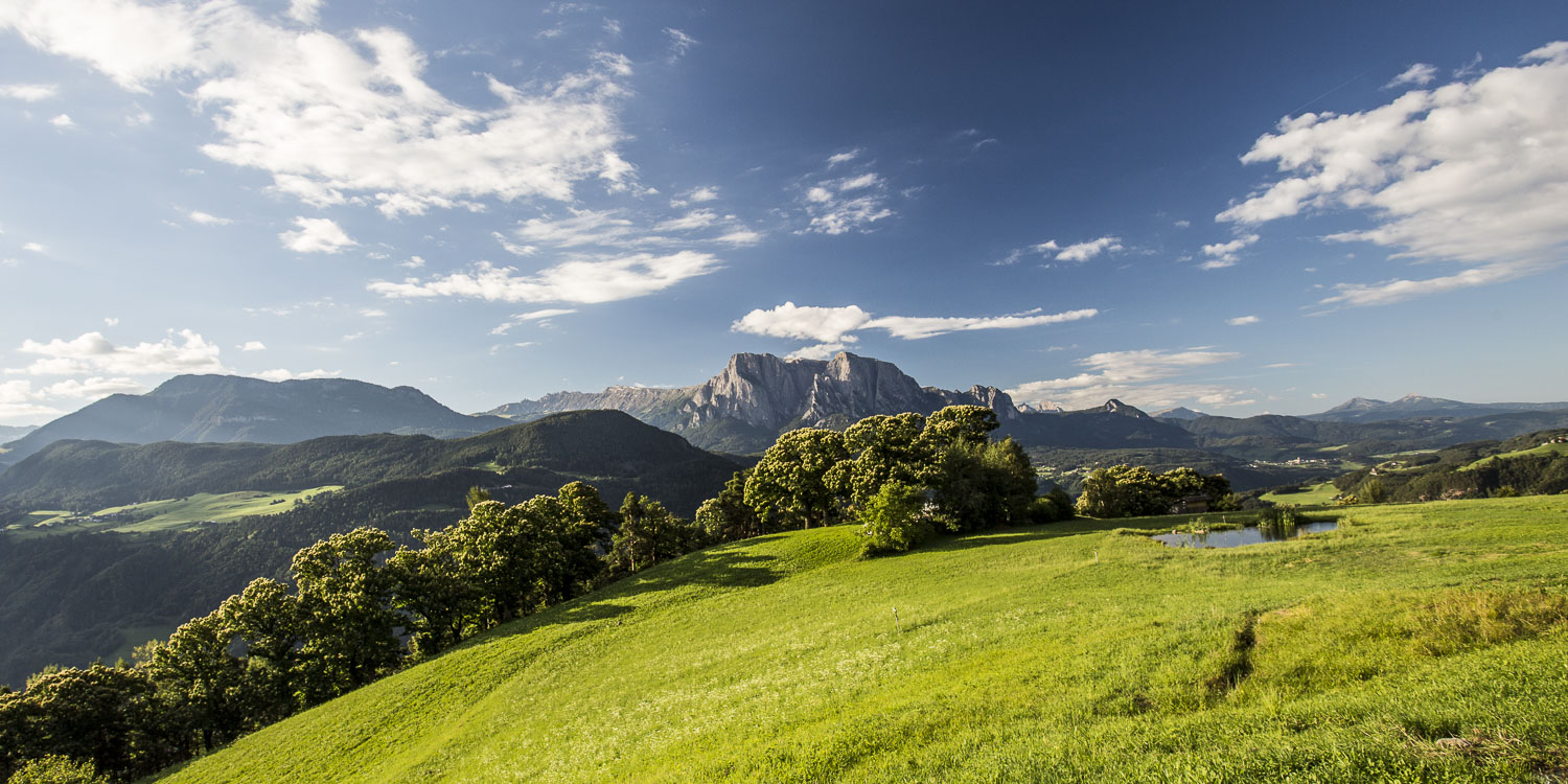 tschernai, sonnenaufgang, frühling, kastanien, natur, landschaft, fotografie, tourismus